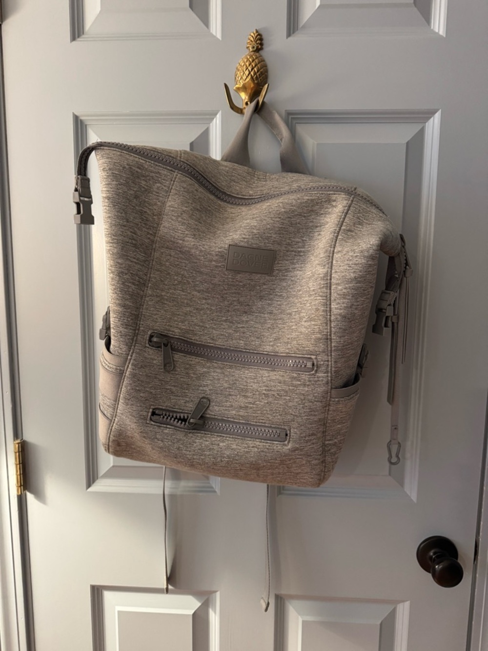 Dagne Dover Gray Backpack
